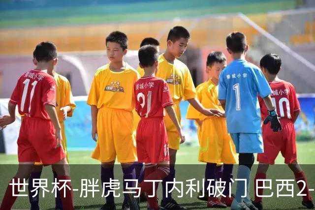 世界杯-胖虎马丁内利破门 巴西2-1逆转读秒绝杀日本
